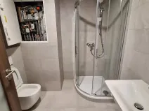 Prodej bytu 2+kk, Brno, Žabí, 50 m2