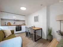 Prodej bytu 1+1, Brno, Elgartova, 30 m2