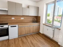 Pronájem bytu 2+1, Písek - Budějovické Předměstí, Šafaříkova, 53 m2