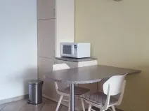 Prodej bytu 2+kk, Brno, Svážná, 49 m2