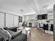 Prodej bytu 1+kk, Týnec nad Sázavou, Okružní, 37 m2