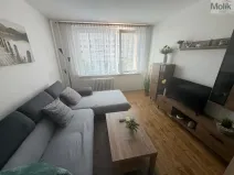 Prodej bytu 2+kk, Most, Františka Malíka, 39 m2