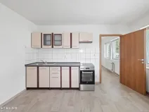Pronájem bytu 1+1, Dolní Rožínka, 42 m2