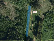 Dražba louky, Hovězí, 1344 m2