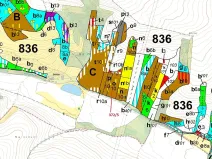 Dražba lesa, Přílepy, 7060 m2