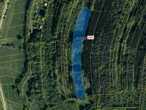 Dražba lesa, Ludkovice, 10351 m2
