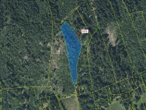 Dražba lesa, Velké Hamry, 6125 m2