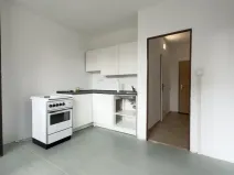 Pronájem bytu 1+1, Nýřany, Havířská, 39 m2
