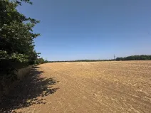 Prodej zahrady, Ořechov, 500 m2