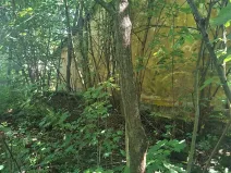 Prodej rodinného domu, Kozlovice, 75 m2