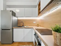 Prodej bytu 3+kk, Brno, Hrnčířská, 66 m2