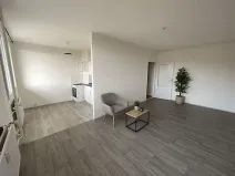 Pronájem bytu 1+1, Litvínov, Bezručova, 42 m2