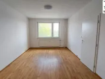 Pronájem bytu 1+1, Cheb, Dvořákova, 39 m2