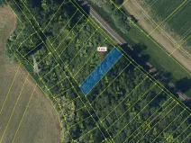 Dražba lesa, Bezměrov, 660 m2