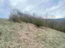 Dražba louky, Mírová pod Kozákovem, 1000 m2