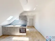 Pronájem bytu 1+1, Jenišovice, 37 m2
