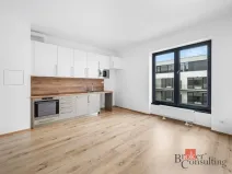 Pronájem bytu 1+kk, Plzeň - Jižní Předměstí, Železná, 26 m2
