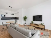 Pronájem bytu 2+kk, Plzeň - Jižní Předměstí, Železná, 66 m2