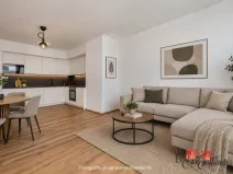 Pronájem bytu 2+kk, Plzeň - Jižní Předměstí, Železná, 66 m2