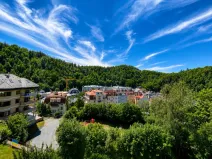 Prodej bytu 2+1, Karlovy Vary, Nebozízek, 62 m2