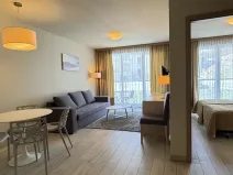 Prodej bytu 2+kk, Dolní Morava, 41 m2