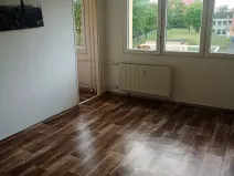 Pronájem bytu 1+1, Most, Růžová, 27 m2