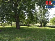 Prodej pozemku pro bydlení, Cholenice, 16365 m2