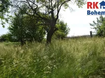 Prodej pozemku pro bydlení, Cholenice, 16365 m2