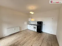 Pronájem bytu 1+kk, Praha - Krč, Budějovická, 25 m2