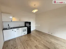Pronájem bytu 1+kk, Praha - Krč, Budějovická, 25 m2