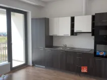 Pronájem bytu 1+kk, Plzeň - Jižní Předměstí, Železná, 34 m2