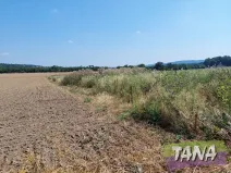 Prodej pole, Jenišovice, 4030 m2