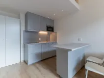 Pronájem bytu 1+kk, Praha - Holešovice, Na Maninách, 27 m2