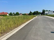 Prodej pozemku pro bydlení, Dašice, Jungmannova, 1000 m2