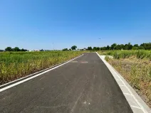 Prodej pozemku pro bydlení, Dašice, Pod Lipami, 1082 m2