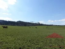Prodej pozemku pro bydlení, Janovice nad Úhlavou, 7774 m2