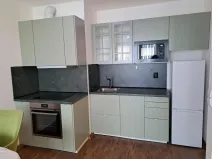 Pronájem bytu 1+kk, Praha - Dolní Měcholupy, Honzíkova, 42 m2