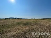 Prodej zahrady, Pasohlávky, 685 m2