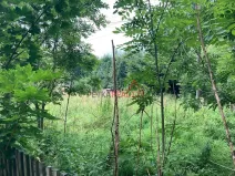 Prodej pozemku pro bydlení, Jindřichovice pod Smrkem, 829 m2
