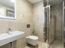 Pronájem bytu 2+kk, Praha - Dejvice, Pod Juliskou, 56 m2