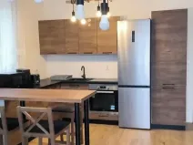 Pronájem bytu 2+kk, Plasy, U Václava, 55 m2