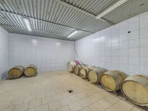 Prodej výrobních prostor, Velké Pavlovice, Trávníky, 400 m2