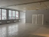 Pronájem obchodního prostoru, Velké Albrechtice, 180 m2