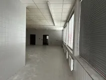 Pronájem obchodního prostoru, Velké Albrechtice, 180 m2