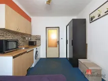 Prodej bytu 1+kk, Liberec - Liberec III-Jeřáb, Františkovská, 21 m2