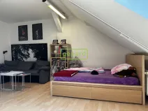 Pronájem bytu 1+1, Brno, Kopečná, 55 m2