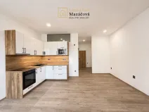 Prodej bytu 2+kk, Šternberk, Čechova, 45 m2