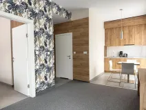 Prodej apartmánu, Dolní Morava, 46 m2