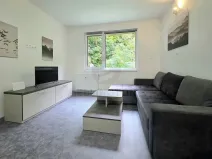 Pronájem bytu 1+kk, Ostrov - Horní Žďár, 29 m2