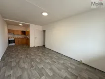 Pronájem bytu 2+kk, Bílina - Pražské Předměstí, Aléská, 48 m2